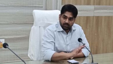 कलेक्टर का सख्त कदम: तहसीलदार और नायब तहसीलदार को नोटिस, पटवारी सस्पेंड; राजस्व विभाग में हड़कंप