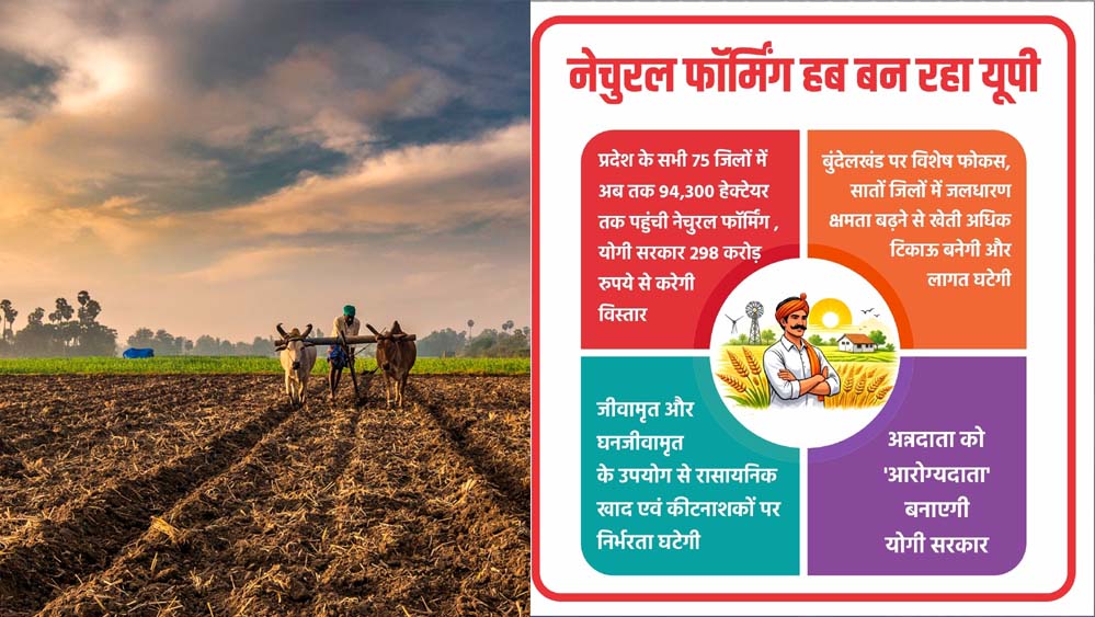 प्रदेश के सभी 75 जिलों में अब तक 94,300 हेक्टेयर तक पहुंची नेचुरल फॉर्मिंग, योगी सरकार 298 करोड़ रुपये से करेगी विस्तार