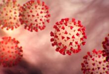 कोरोना जैसे लक्षण, फेफड़ों में एलर्जी और हाई ग्रेड फीवर: मरीजों की संख्या बढ़ी, डॉक्टर्स की चिंता