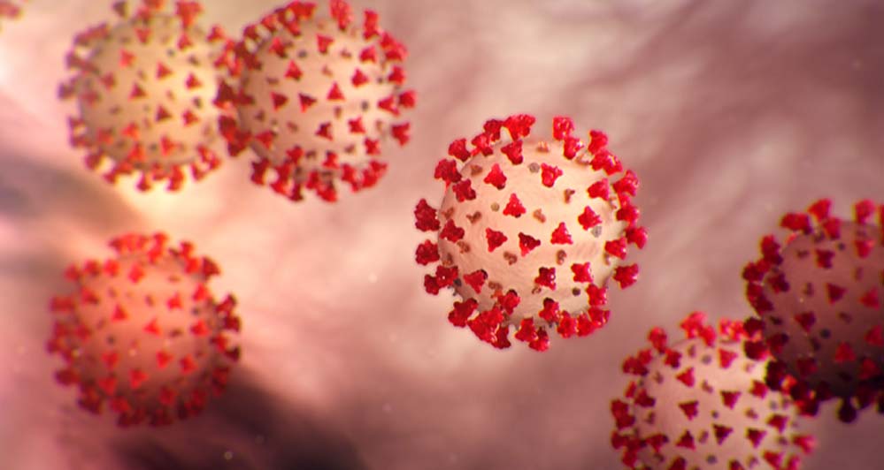 कोरोना जैसे लक्षण, फेफड़ों में एलर्जी और हाई ग्रेड फीवर: मरीजों की संख्या बढ़ी, डॉक्टर्स की चिंता कोरोना जैसे लक्षण, फेफड़ों में एलर्जी और हाई ग्रेड फीवर: मरीजों की संख्या बढ़ी, डॉक्टर्स की चिंता