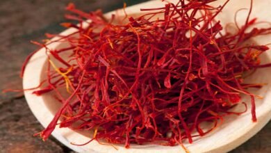 कश्मीर में केसर उत्पादन में गिरावट, किसानों ने सोलर पंप लगाने की उठाई मांग