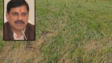 एमपी के 25 जिलों में बारिश से फसलें बर्बाद, सीएम मोहन ने दिए तत्काल राहत के निर्देश