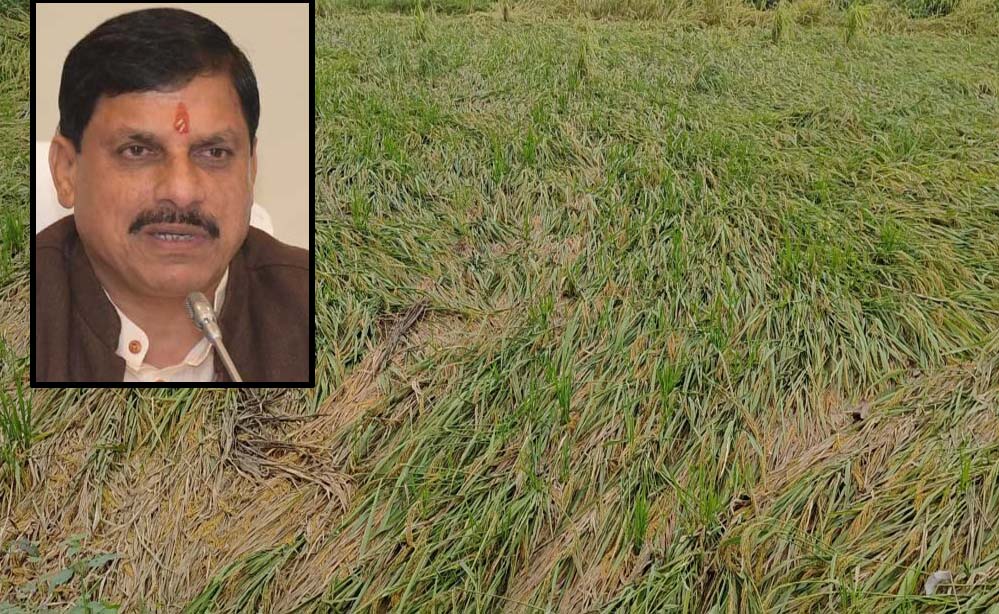 एमपी के 25 जिलों में बारिश से फसलें बर्बाद, सीएम मोहन ने दिए तत्काल राहत के निर्देश