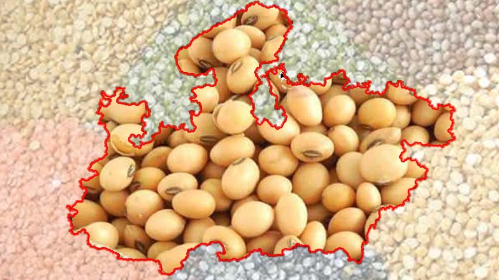 मध्यप्रदेश कृषि उत्पादन में देश के शीर्ष राज्यों में, खाद्यान्न, दलहन और तिलहन में अग्रणी मध्यप्रदेश कृषि उत्पादन में देश के शीर्ष राज्यों में, खाद्यान्न, दलहन और तिलहन में अग्रणी