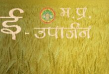 4 लाख 42 हजार से अधिक किसानों ने समर्थन मूल्य पर गेहूँ उपार्जन के लिये कराया पंजीयन