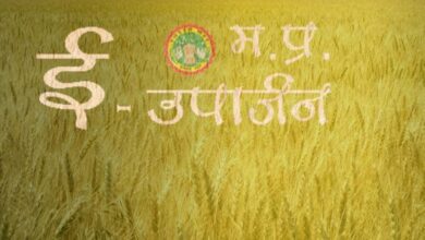 4 लाख 42 हजार से अधिक किसानों ने समर्थन मूल्य पर गेहूँ उपार्जन के लिये कराया पंजीयन