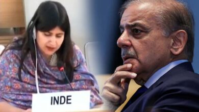 भारत ने UN में खुली पाकिस्तान की पोल, कहा– हमारा कश्मीर बजट IMF कर्ज से भी दोगुना