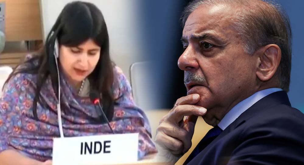 भारत ने UN में खुली पाकिस्तान की पोल, कहा– हमारा कश्मीर बजट IMF कर्ज से भी दोगुना भारत ने UN में खुली पाकिस्तान की पोल, कहा– हमारा कश्मीर बजट IMF कर्ज से भी दोगुना