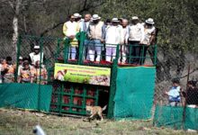 मिशन चीता की नई सफलता, बोत्सवाना से 9 और चीते कूनो पहुंचे, भारत में संख्या हुई 48