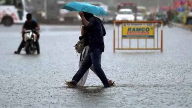 मध्यप्रदेश में भारी बारिश का अलर्ट, 25 जिलों में चेतावनी, ग्वालियर में बूंदाबांदी, सीहोर और मुरैना में घना कोहरा