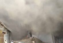 इंडस्ट्रियल एरिया में पेंट–पुट्टी फैक्ट्री में भीषण आग, इलाके में दहशत; दमकल की कई गाड़ियां तैनात इंडस्ट्रियल एरिया में पेंट–पुट्टी फैक्ट्री में भीषण आग, इलाके में दहशत; दमकल की कई गाड़ियां तैनात