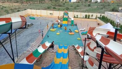 बांधवगढ़ टाइगर रिजर्व के वाटर पार्क में प्रदूषित पानी का विवाद, हाईकोर्ट ने केंद्र-राज्य से मांगा जवाब