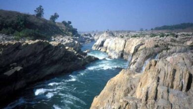 NGT ने दी चेतावनी: नर्मदा नदी की सेहत को लेकर मध्य प्रदेश से मांगी रिपोर्ट