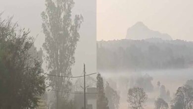 एमपी में घना कोहरा, 12 से ज्यादा ट्रेनें लेट; मालवा एक्सप्रेस 8 घंटे देरी से, शाजापुर में हादसे में युवक की मौत