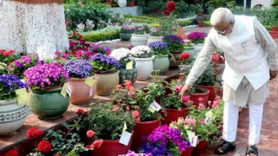 मेहनत और निष्ठा का प्रतिफल, पुरस्कार : राज्यपाल  पटेल