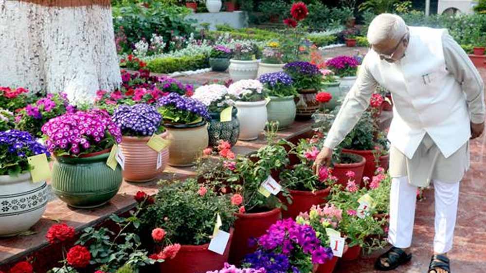 मेहनत और निष्ठा का प्रतिफल, पुरस्कार : राज्यपाल  पटेल