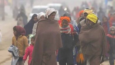 MP में अगले 2 दिन तेज सर्दी, कटनी-शहडोल में सबसे कम तापमान, भोपाल-इंदौर में लुढ़का पारा