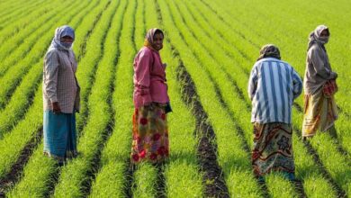 एमपी में होगा ‘जहर मुक्त खेती’ का महायज्ञ, देशभर के किसान पहली बार एक साथ होंगे जुटे