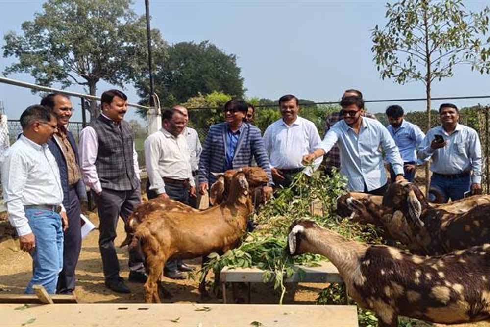 कृषि और पशुपालन किसानों के लिए बन रहा लाभकारी व्यवसाय