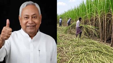 बिहार में चीनी उद्योग का होगा विकास, गन्ने का रकबा बढ़ाने का सरकार ने सेट किया टारगेट बिहार में चीनी उद्योग का होगा विकास, गन्ने का रकबा बढ़ाने का सरकार ने सेट किया टारगेट