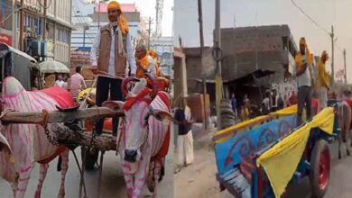 बैलगाड़ी से पहुंची बारात, देसी थीम वाली शादी ने ताजा की पुराने दिनों की यादें बैलगाड़ी से पहुंची बारात, देसी थीम वाली शादी ने ताजा की पुराने दिनों की यादें