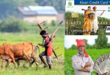 अब ‘फार्मर रजिस्ट्री’ से PM-Kisan और KCC लोन मिलना होगा आसान, बिचौलियों से मिलेगी मुक्ति