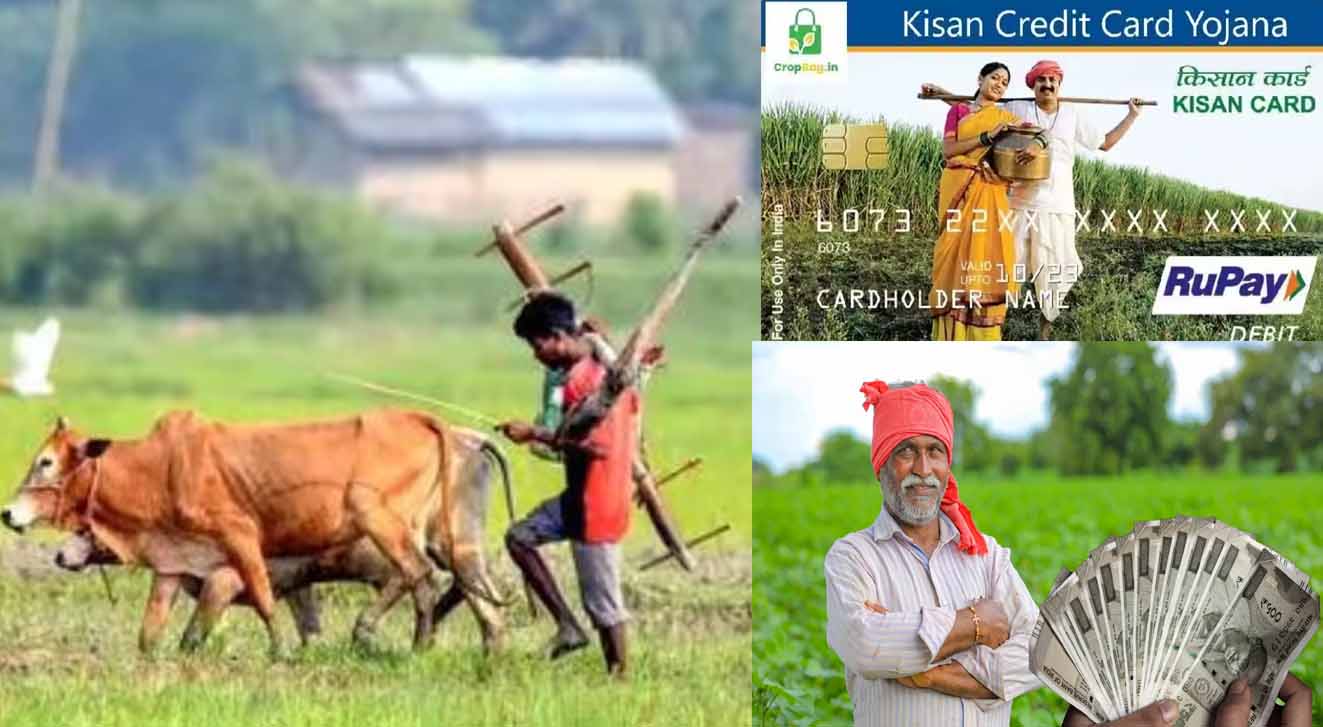 अब ‘फार्मर रजिस्ट्री’ से PM-Kisan और KCC लोन मिलना होगा आसान, बिचौलियों से मिलेगी मुक्ति