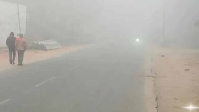 बिहार के 12 जिलों में कोहरे का यलो अलर्ट, भागलपुर में 9 डिग्री वाली कनकनी