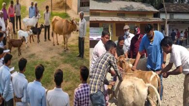 बिहार में पशुपालन मित्रों की नियुक्ति, ग्रामीण युवाओं को रोजगार और पशु पालकों को होगा लाभ बिहार में पशुपालन मित्रों की नियुक्ति, ग्रामीण युवाओं को रोजगार और पशु पालकों को होगा लाभ