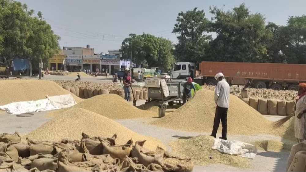 धान उपार्जन में बड़ा फर्जीवाड़ा, राइस मिल के मुंशी समेत 4 गिरफ्तार धान उपार्जन में बड़ा फर्जीवाड़ा, राइस मिल के मुंशी समेत 4 गिरफ्तार