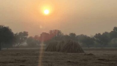 रात का पारा बढ़ने से दिन रहेगा गर्म, अगले 7 दिन ऐसा ही रहेगा मौसम