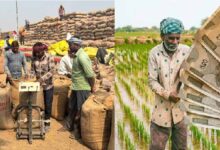 किसानों को 1508 करोड़ रुपए किए भुगतान, समर्थन मूल्य पर हुई धान खरीदी