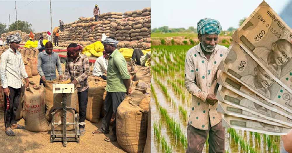 किसानों को 1508 करोड़ रुपए किए भुगतान, समर्थन मूल्य पर हुई धान खरीदी