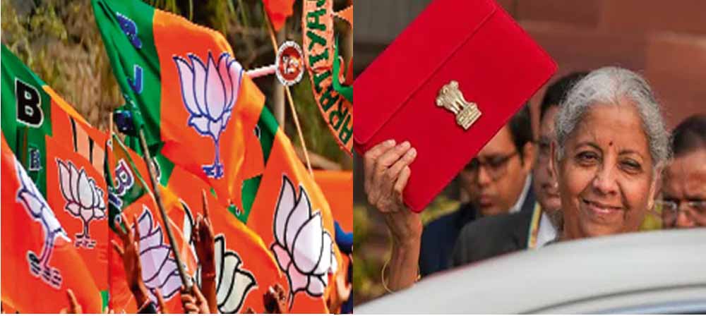 आम बजट को खास बनाने लोगों को खूबियां बताएगी BJP, 10 दिन तक चलेगा महाभियान