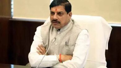 मुख्यमंत्री डॉ. यादव आज  सोमवार को लुप्तप्राय प्रजातियों के 5 गिद्धों को हलाली डेम क्षेत्र में करेंगे मुक्त