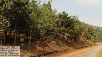 वन विकास निगम और एनएमडीसी बचेली के बीच 50 हजार पौधारोपण का अनुबंध