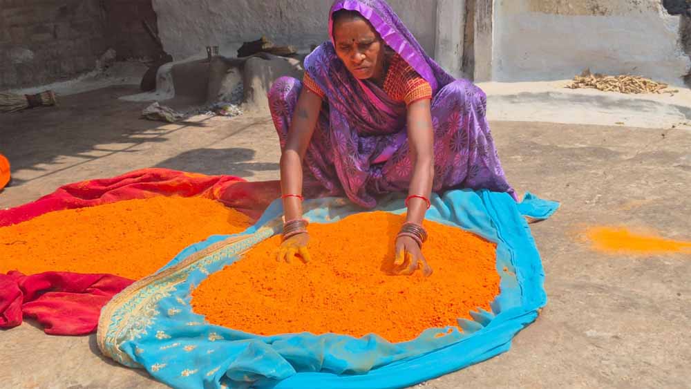 हर्बल गुलाल से और भी रंगीली होगी होली हर्बल गुलाल से और भी रंगीली होगी होली
