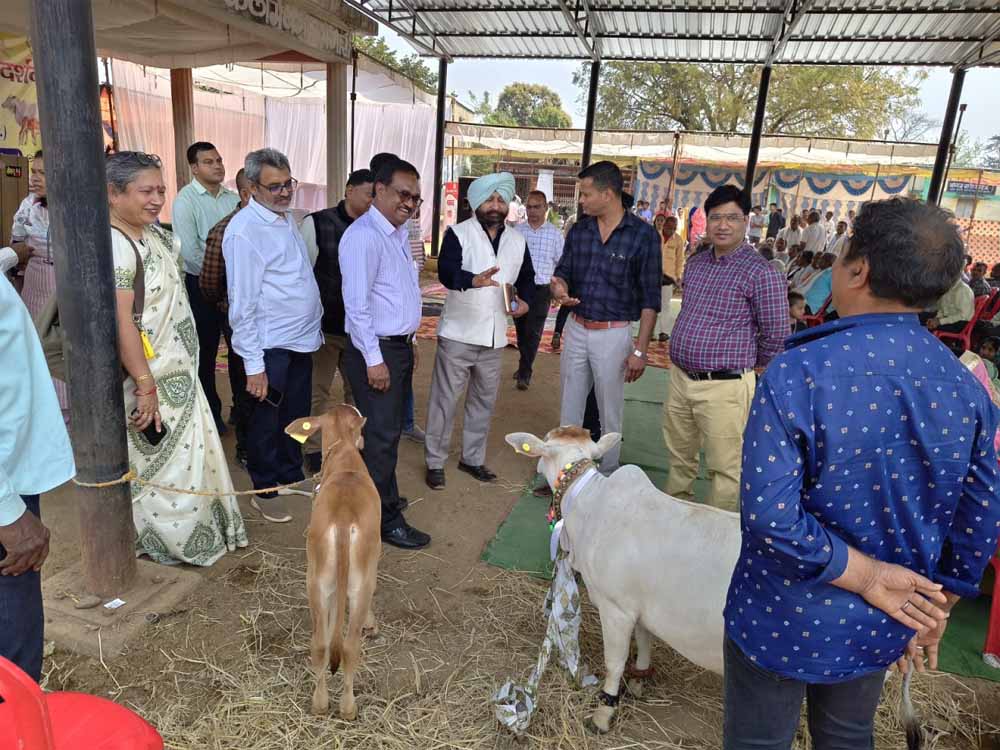 केन्द्रीय पर्यवेक्षकों ने छत्तीसगढ़ में पशुधन योजनाओं का लिया फीडबैक केन्द्रीय पर्यवेक्षकों ने छत्तीसगढ़ में पशुधन योजनाओं का लिया फीडबैक
