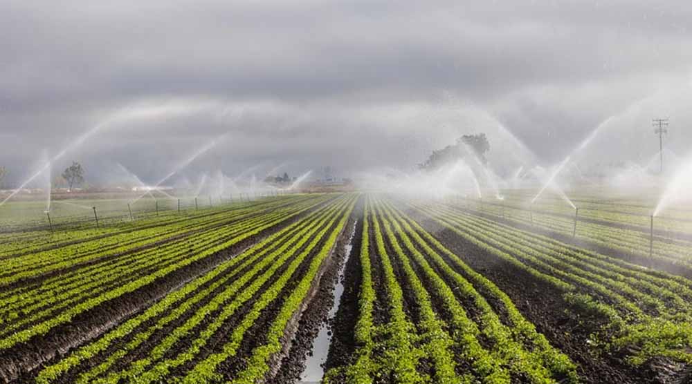 200 हेक्टेयर भूमि होगी सिंचित, लाखों किसानों को मिलेगा लाभ : खाद्य मंत्री राजपूत