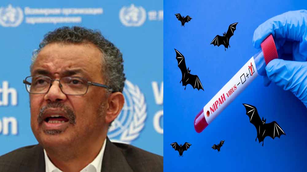 ‘निपाह एक दुर्लभ लेकिन गंभीर बीमारी’, डब्ल्यूएचओ प्रमुख ने कहा- मामले सिर्फ भारत तक सीमित