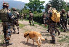 जम्मू‑कश्मीर में बड़ी आतंकी साजिश नाकाम, सड़क किनारे मिला मौत का सामान; एजेंसियों ने जारी किया अलर्ट