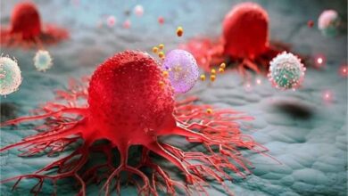 शरीर में चुपके से घर कर रहा है कैंसर! आज नहीं बदलीं ये 4 आदतें तो बढ़ सकता है खतरा शरीर में चुपके से घर कर रहा है कैंसर! आज नहीं बदलीं ये 4 आदतें तो बढ़ सकता है खतरा