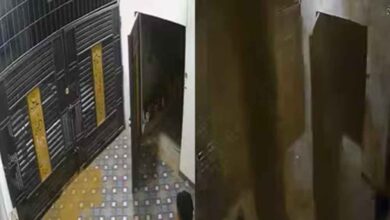 घर के अंदर अचानक फटी जमीन, तेज धार से फूट पड़ा पानी; दहशत में परिवार