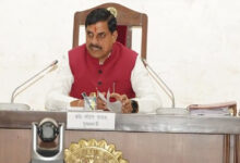 उड़द पर ₹600 बोनस की कैबिनेट मंजूरी, सीएम बोले – जनजातीय जिलों में कृषि को बढ़ावा