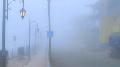 एमपी में मौसम का मिजाज बदलता रहा: कोहरा और ठंड ने बढ़ाई परेशानी, 48 घंटे में बारिश का अलर्ट