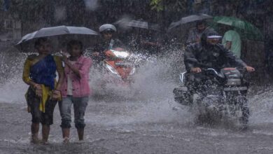 एमपी में बदलते मौसम से किसानों की बढ़ी चिंताएं, फरवरी में चौथी बार ओले और बारिश