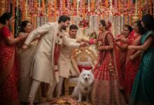 कुत्ते की वजह से टूटी शादी! मंडप में बाराती-घराती में जमकर मारपीट, 4 लोग घायल