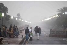 MP में उमरिया सबसे ठंडा, रात का पारा 7°; भोपाल, इंदौर, ग्वालियर समेत 10 जिलों में हल्का कोहरा