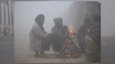 बर्फ पिघलने से MP में सर्द हवाएं, 3-4 डिग्री बढ़ेगा तापमान, ग्वालियर-चंबल में ठंड का ज्यादा असर बर्फ पिघलने से MP में सर्द हवाएं, 3-4 डिग्री बढ़ेगा तापमान, ग्वालियर-चंबल में ठंड का ज्यादा असर