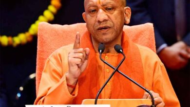 किसानों के लिए गेमचेंजर! CM योगी का नया इंटरक्रॉपिंग फॉर्मूला, बढ़ाएगी आपकी आय किसानों के लिए गेमचेंजर! CM योगी का नया इंटरक्रॉपिंग फॉर्मूला, बढ़ाएगी आपकी आय